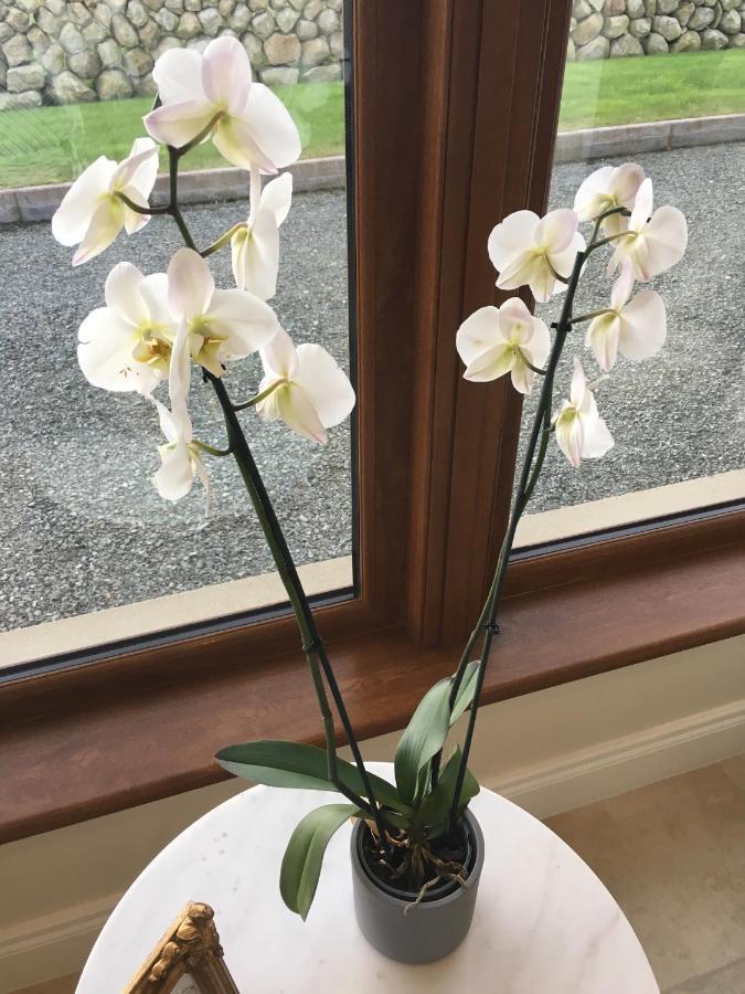 Mourne Country House Bed And Breakfast 基尔基尔 外观 照片